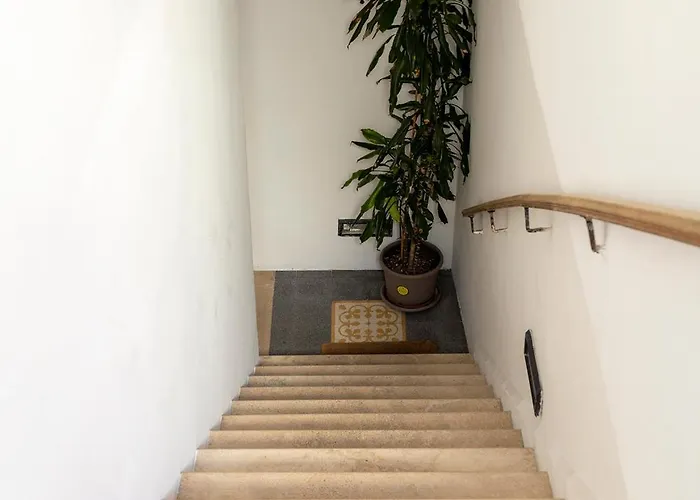 Appartement Views Of The Coliseum Rome